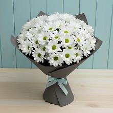 Букет цветов из:  Хризантемы в Рождественно