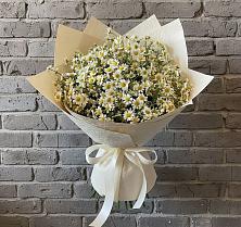 Букет цветов из:  Ромашки в Рождественно