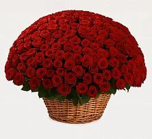 Премиум букет из: Розы в Рождественно