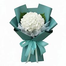 Букет цветов из:  Гортензия #REPLACE_PRED# Рождественно